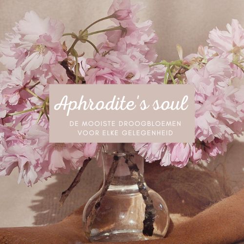 Aphrodite's soul droogbloemen 